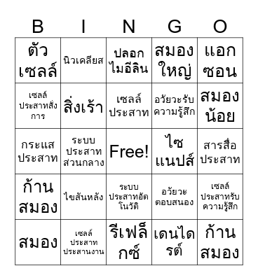 Nerve BIO Bingo Card