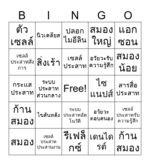 Nerve BIO Bingo Card