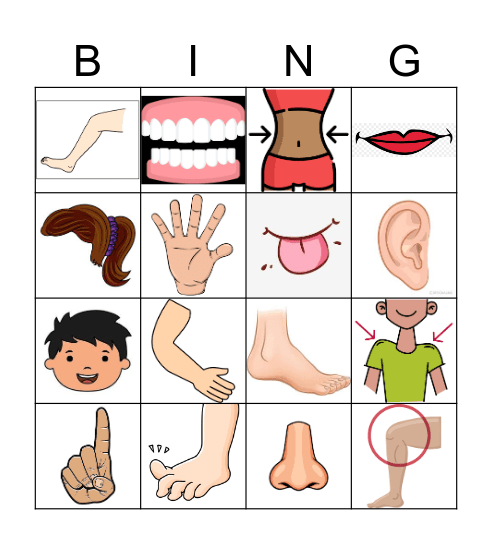Body Parts Bingo Card