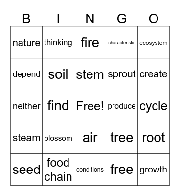 3rd Grade Vocabulary (3.1) Bingo Card