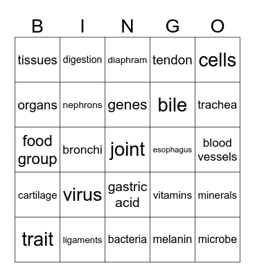 Health & the Physical Body (The Good & the Beautiful) Bingo Card