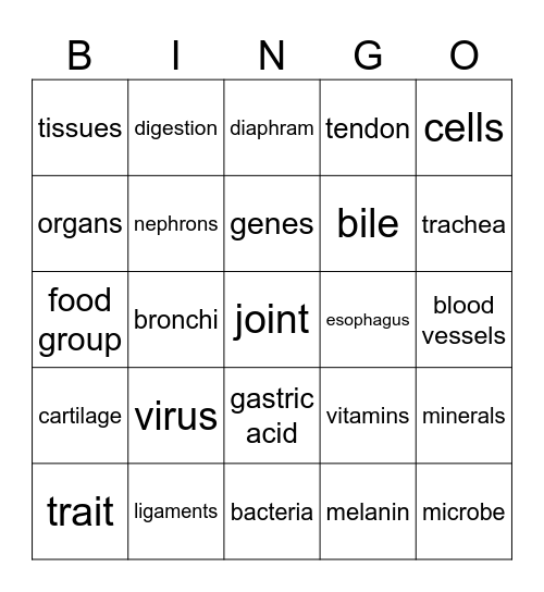 Health & the Physical Body (The Good & the Beautiful) Bingo Card