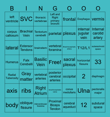 MIT201 Midterm Review Bingo Card