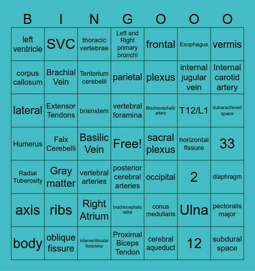 MIT201 Midterm Review Bingo Card