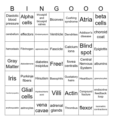 Anatomy Final Review Bingo Card