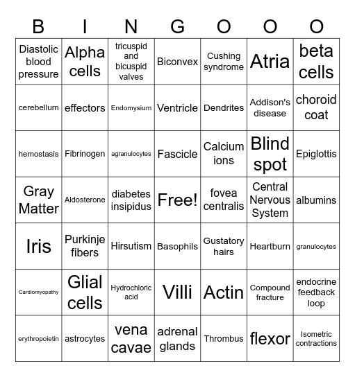 Anatomy Final Review Bingo Card