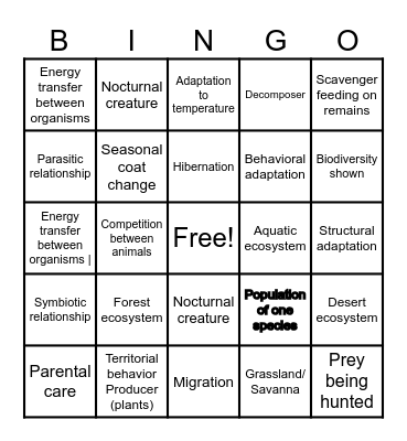 Wildlife Documentaries BINGO Card