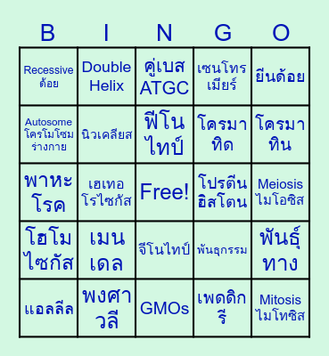 Bingo พันธุศาสตร์ EP.1 Bingo Card