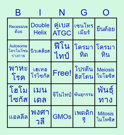 Bingo พันธุศาสตร์ EP.1 Bingo Card
