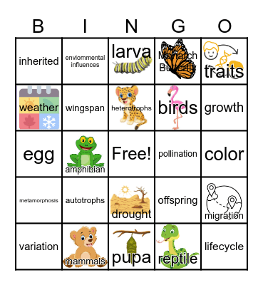 Inheritance and traits Bingo Card