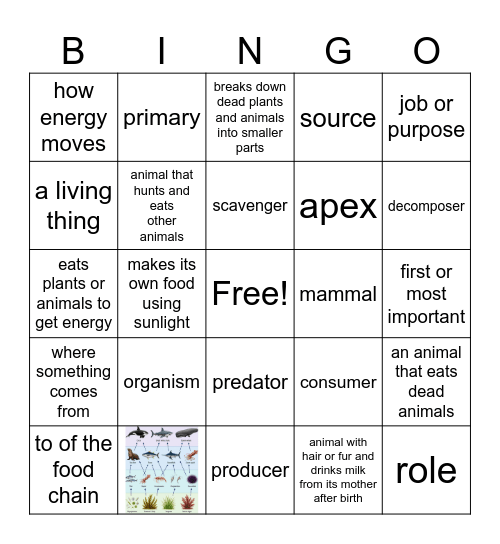 Marine Food Web Bingo Card