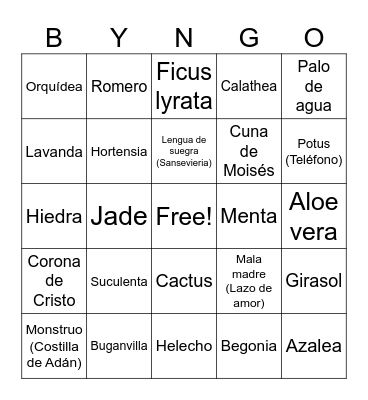 Bingo de plantas 🪴 Bingo Card