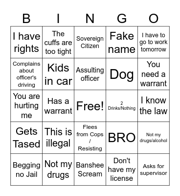 Police body cam Bingo Card