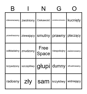 Emotions and feelings Bingo Card