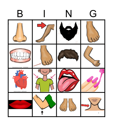 Der Körper Bingo Card