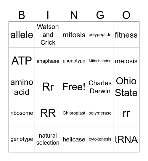 Bio B final review Bingo Card