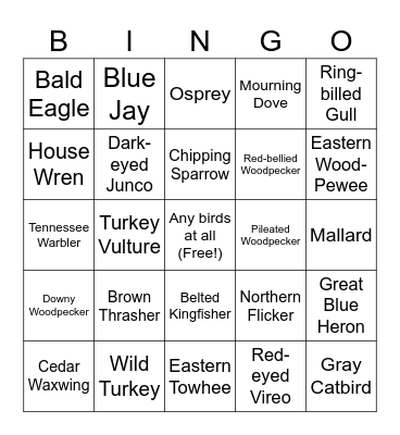 Birdin-go Bingo Card