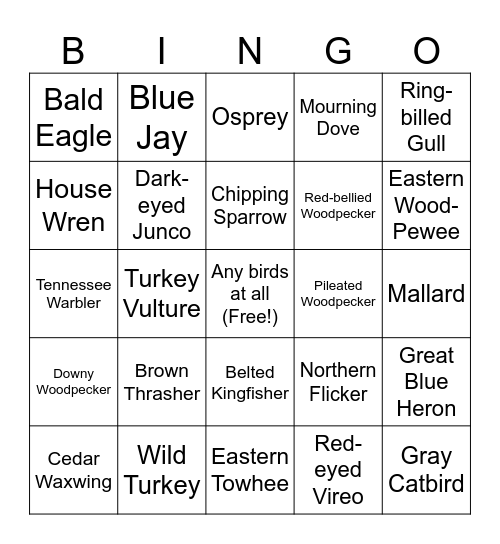 Birdin-go Bingo Card