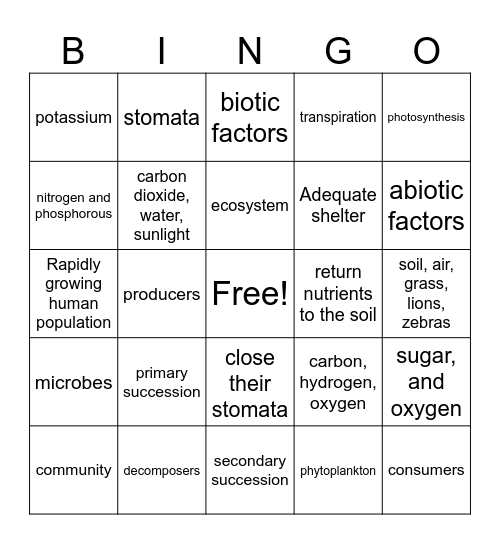 Grade 5: Final Revision Bingo Card