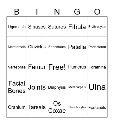Skeletal System Bingo Card