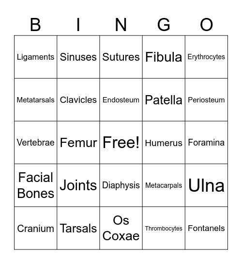 Skeletal System Bingo Card