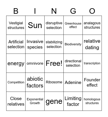 Spring 2026 Bio Final Bingo Card