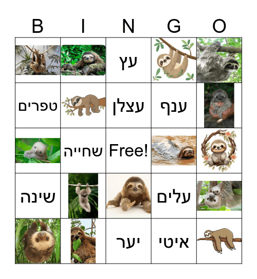 עצלן Bingo Card