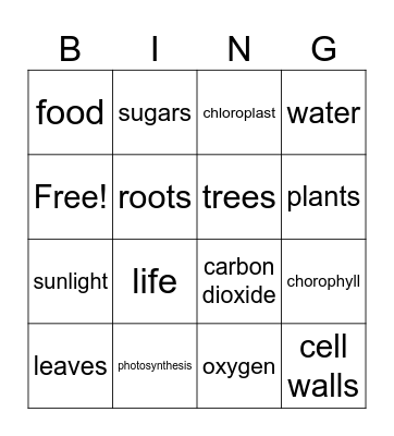 photosynthesis Bingo Card