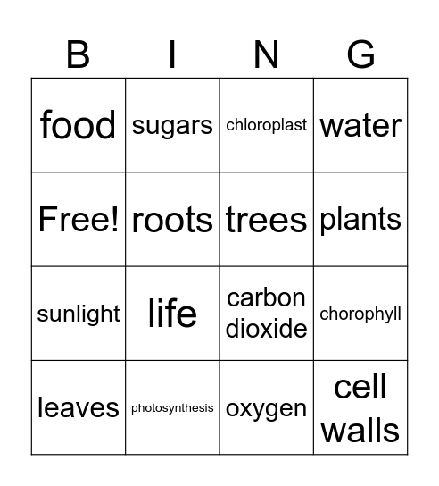 photosynthesis Bingo Card