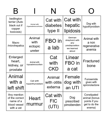 Vet Bingo Card