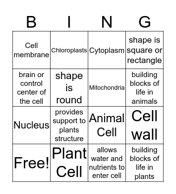 Plant and Animal Cell Bingo Card