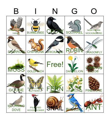 Flora & Fauna Bingo Card