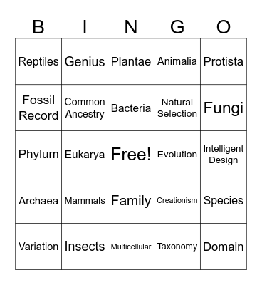 Vocabulary Bingo Card