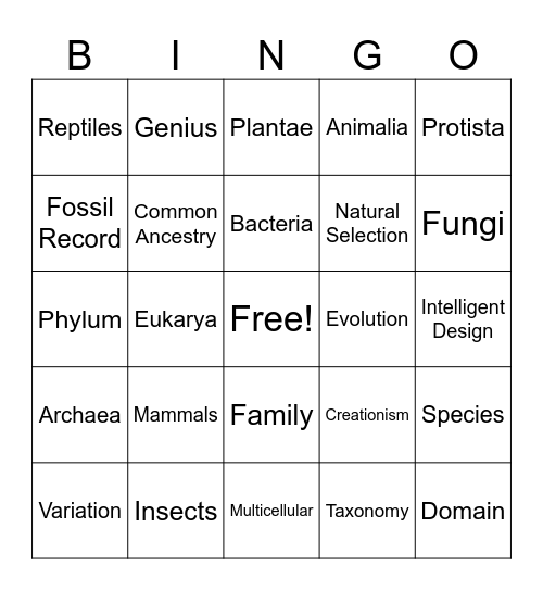 Vocabulary Bingo Card