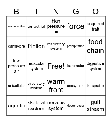 Science Bingo Card