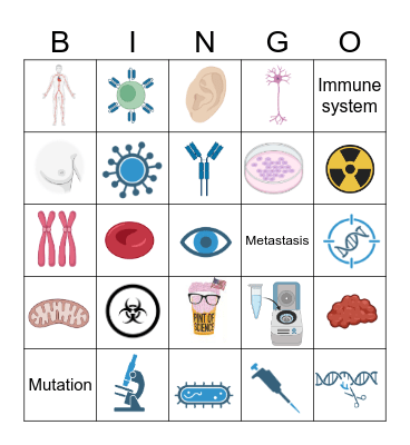 Our Bodies Bingo Card