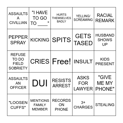 police bodycam karens Bingo Card