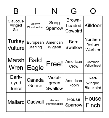 Panama Flats May Bird Bingo Card