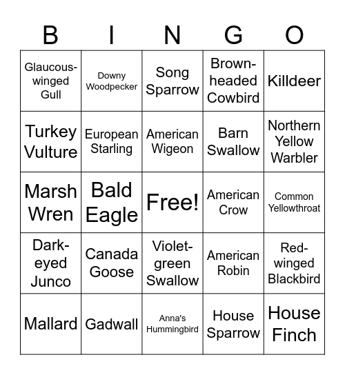 Panama Flats May Bird Bingo Card
