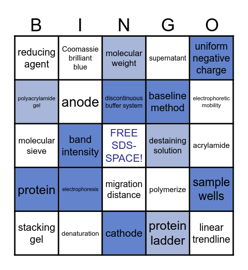 SDS-PAGE BINGO Card
