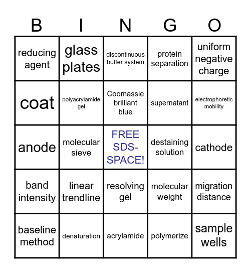 SDS-PAGE BINGO Card