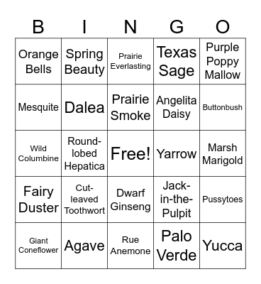 SPRINGO! Flowers Bingo Card
