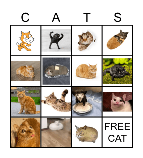 Cat bingo Card