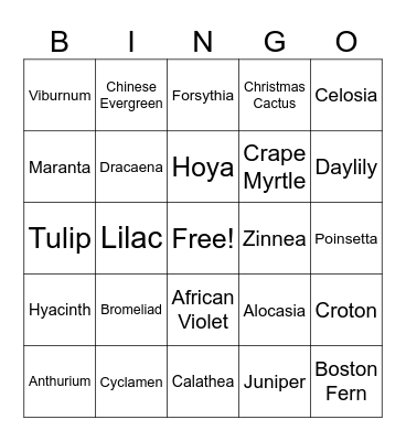 Plant Bingo Card