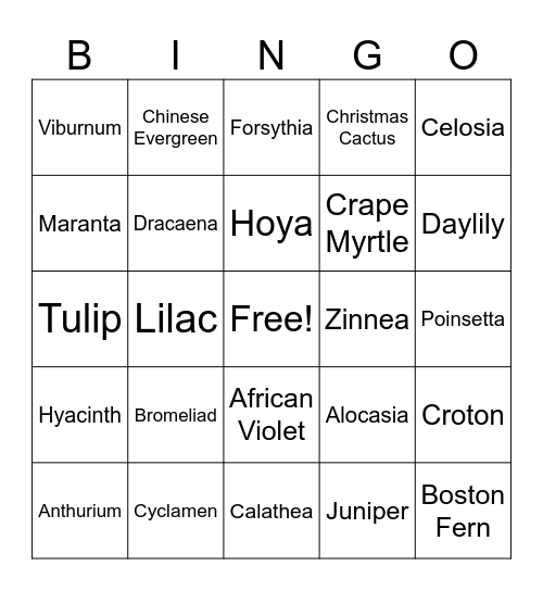 Plant Bingo Card