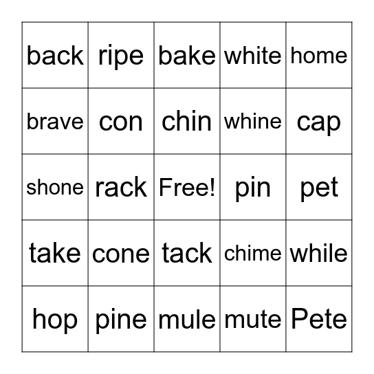 5.3 Silent 'e' long vowel Bingo Card