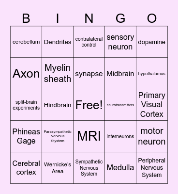 11ATAR Biological Psychology Bingo Card