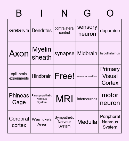 11ATAR Biological Psychology Bingo Card