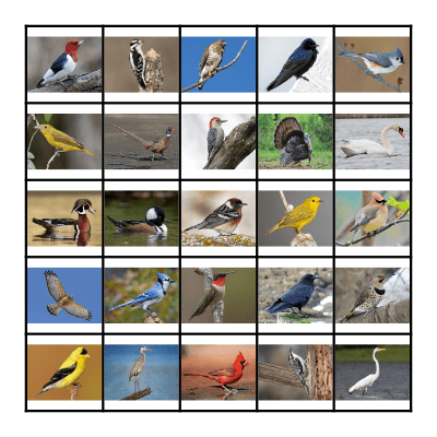 Chandlerville Bird Bingo Card