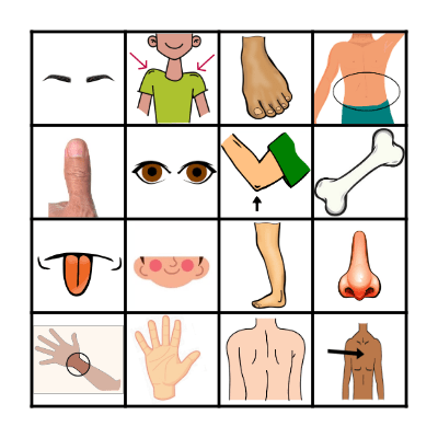 BODY PARTS  1 Bingo Card